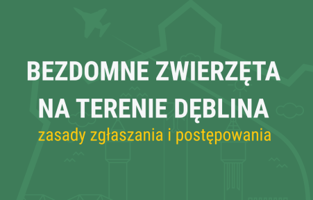 Zasady zgłaszania bezdomnych zwierząt w Dęblinie